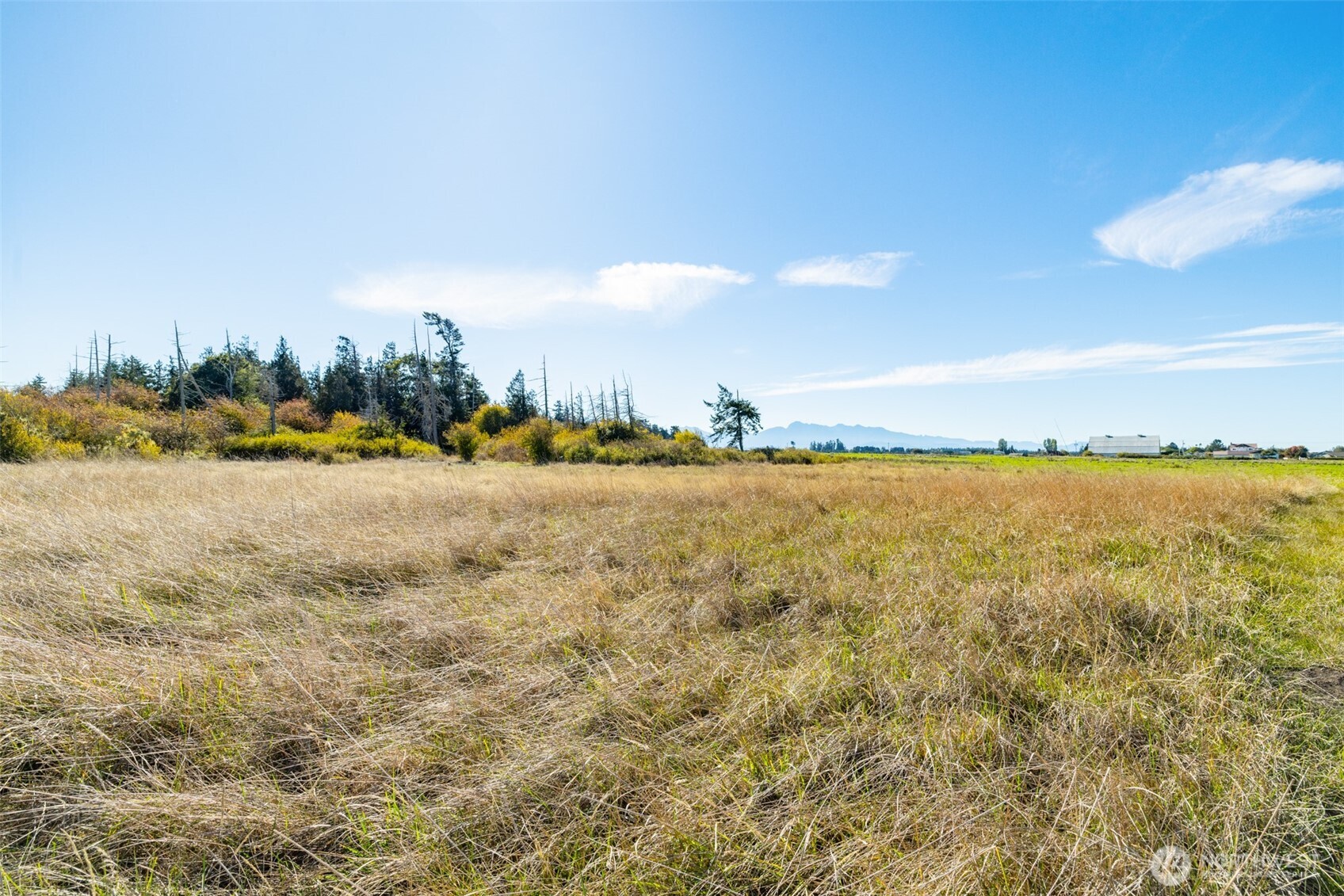 982 E Anderson Road , Sequim, WA 98382
