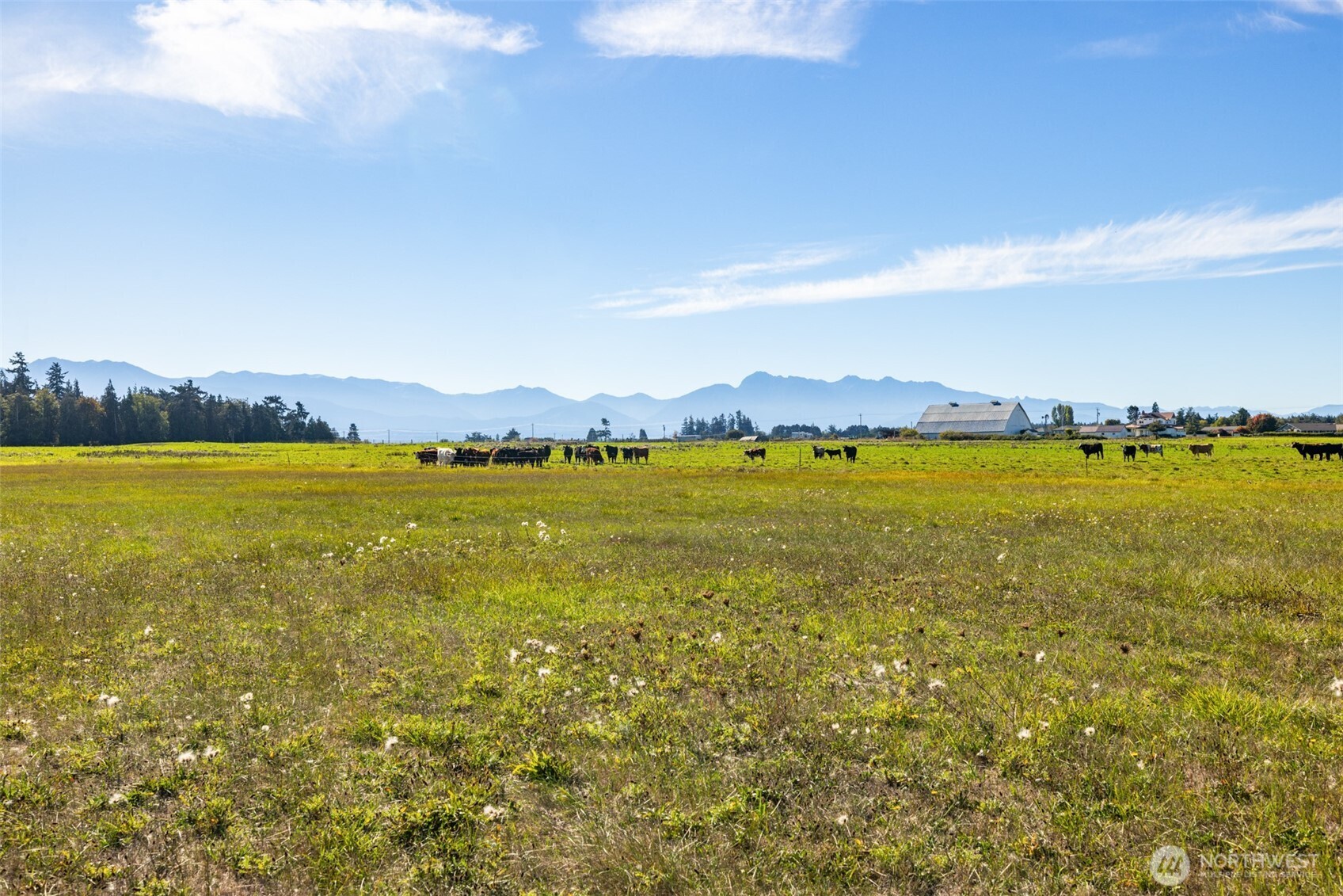 982 E Anderson Road , Sequim, WA 98382