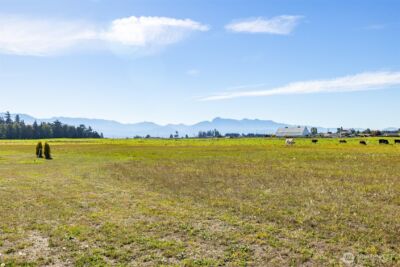 982 E Anderson Road , Sequim, WA 98382 - Photo 8