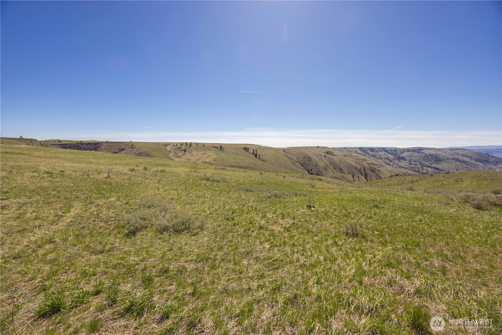0 LOT15 Blue Sky Lane , Orondo, WA 98843