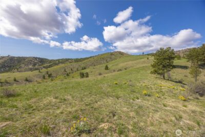 1 Bear Mountain Road , Chelan, WA 98816 - Photo 11