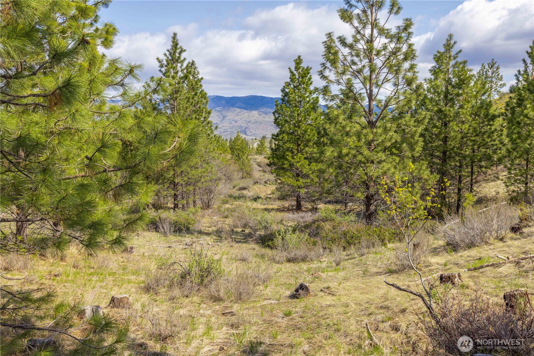 1 Bear Mountain Road , Chelan, WA 98816