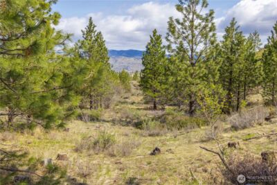 1 Bear Mountain Road , Chelan, WA 98816 - Photo 12