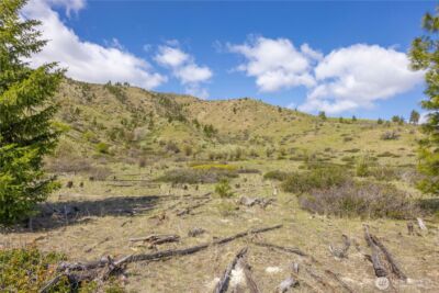 1 Bear Mountain Road , Chelan, WA 98816 - Photo 13