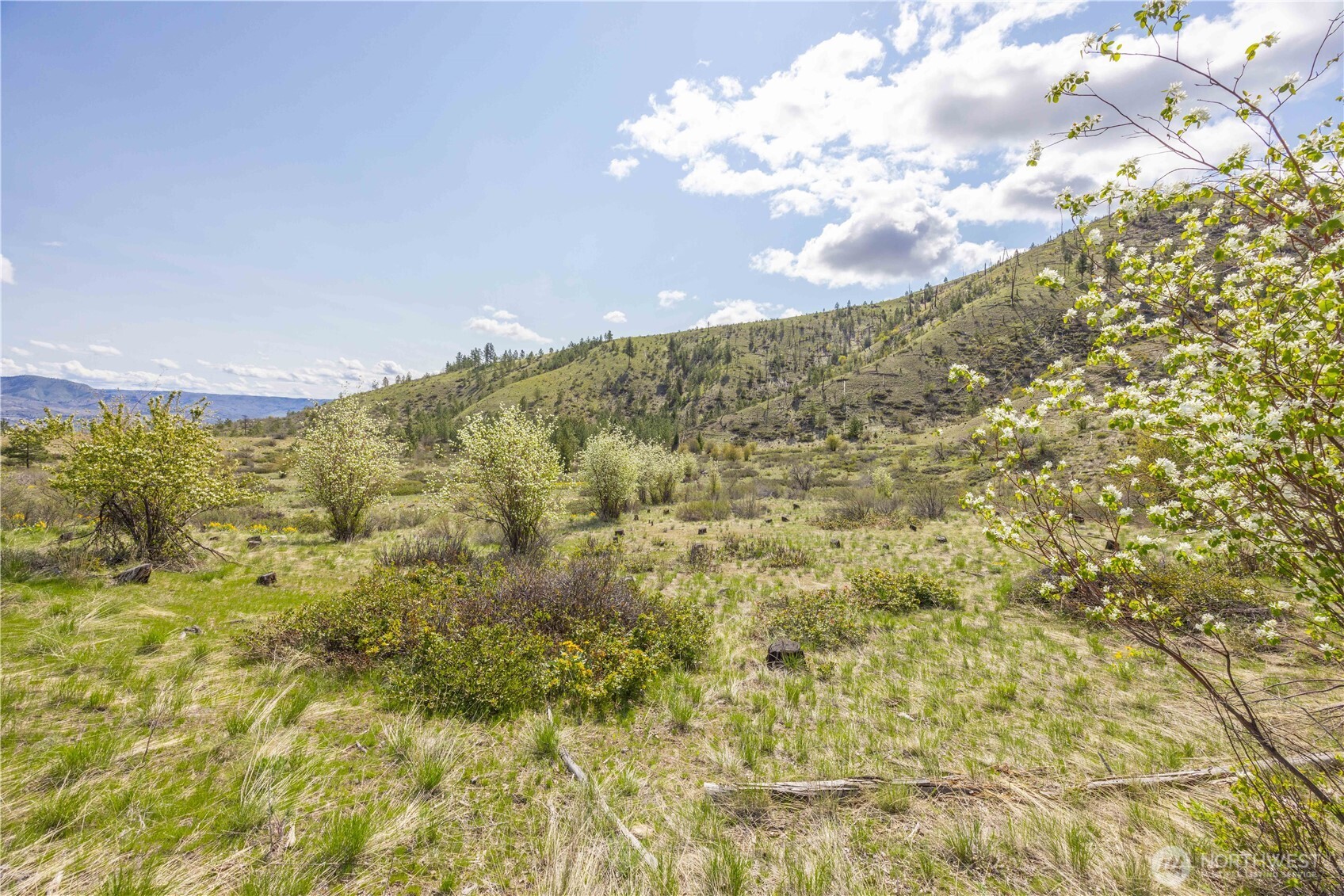 1 Bear Mountain Road , Chelan, WA 98816