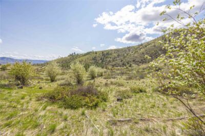 1 Bear Mountain Road , Chelan, WA 98816 - Photo 14