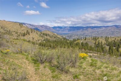1 Bear Mountain Road , Chelan, WA 98816 - Photo 9