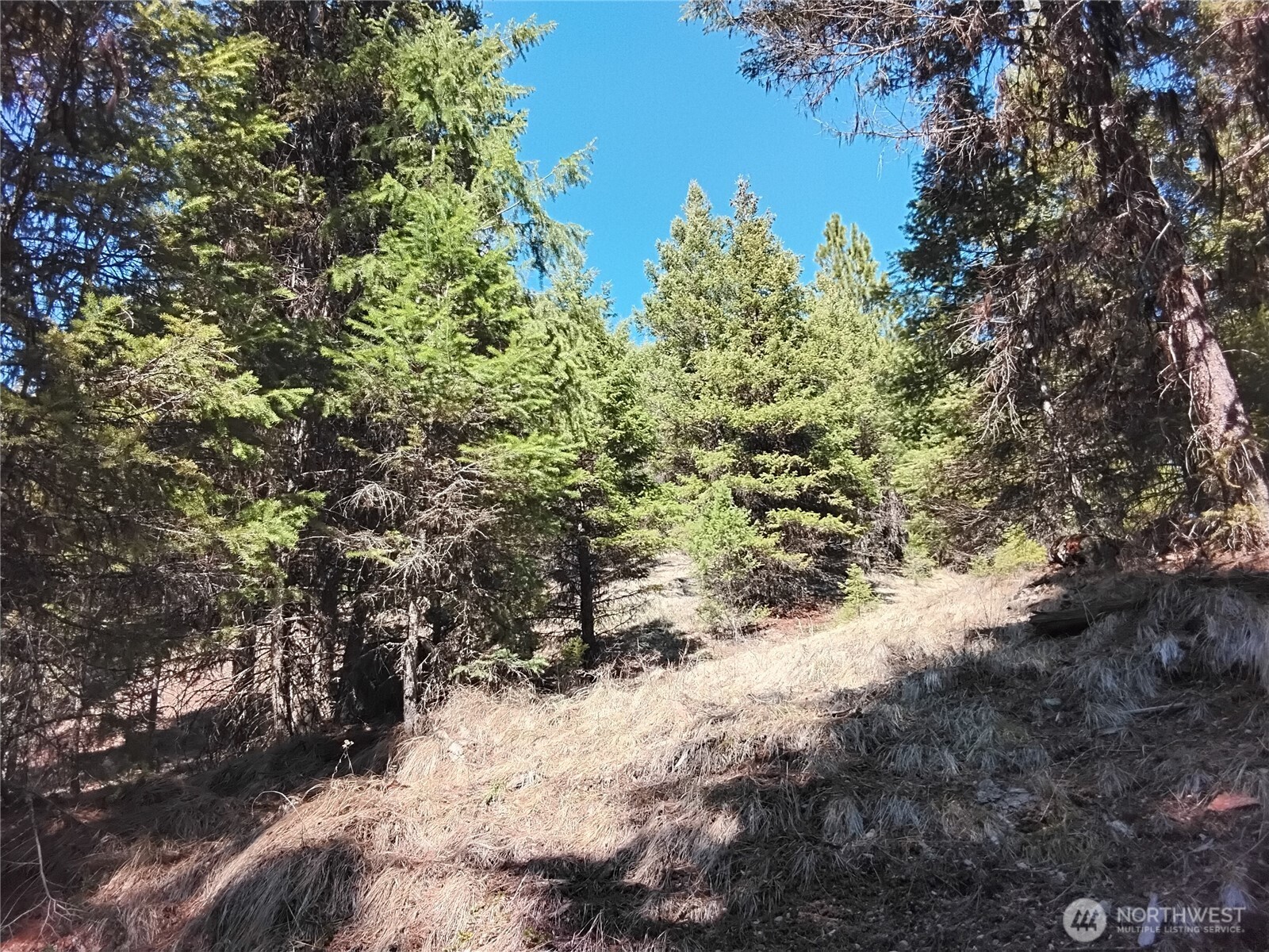 44 Trapline Loop Road , Oroville, WA 98844