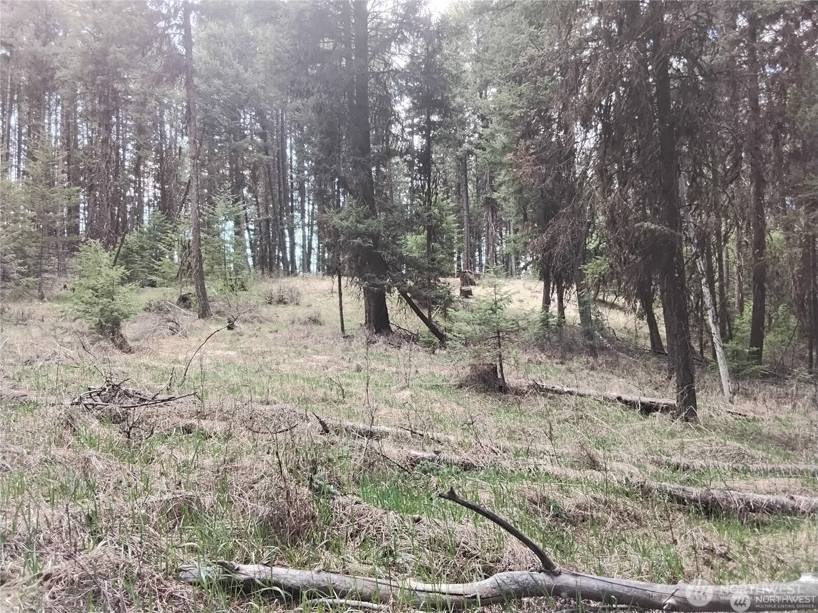 44 Trapline Loop Road , Oroville, WA 98844