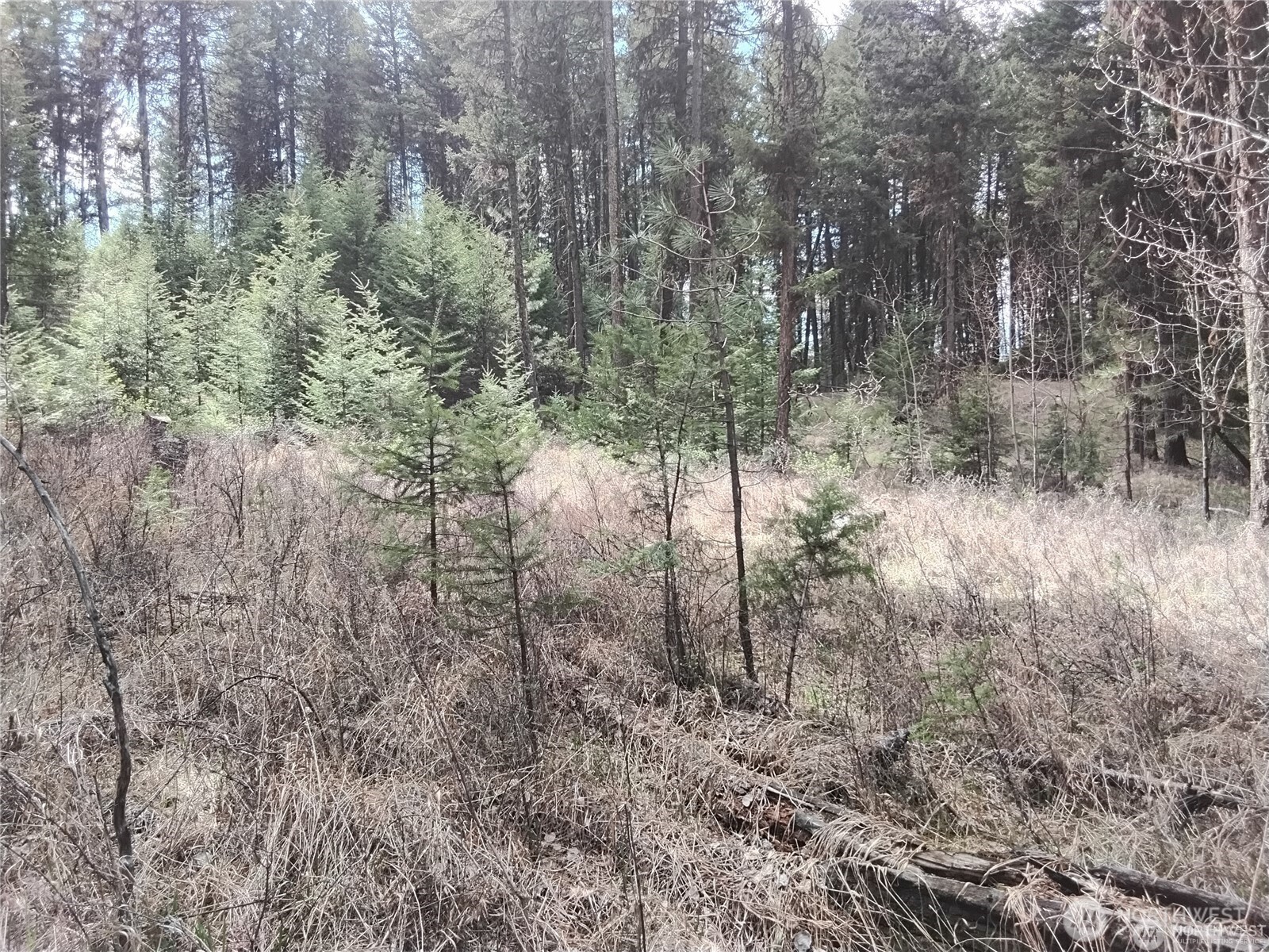 44 Trapline Loop Road , Oroville, WA 98844