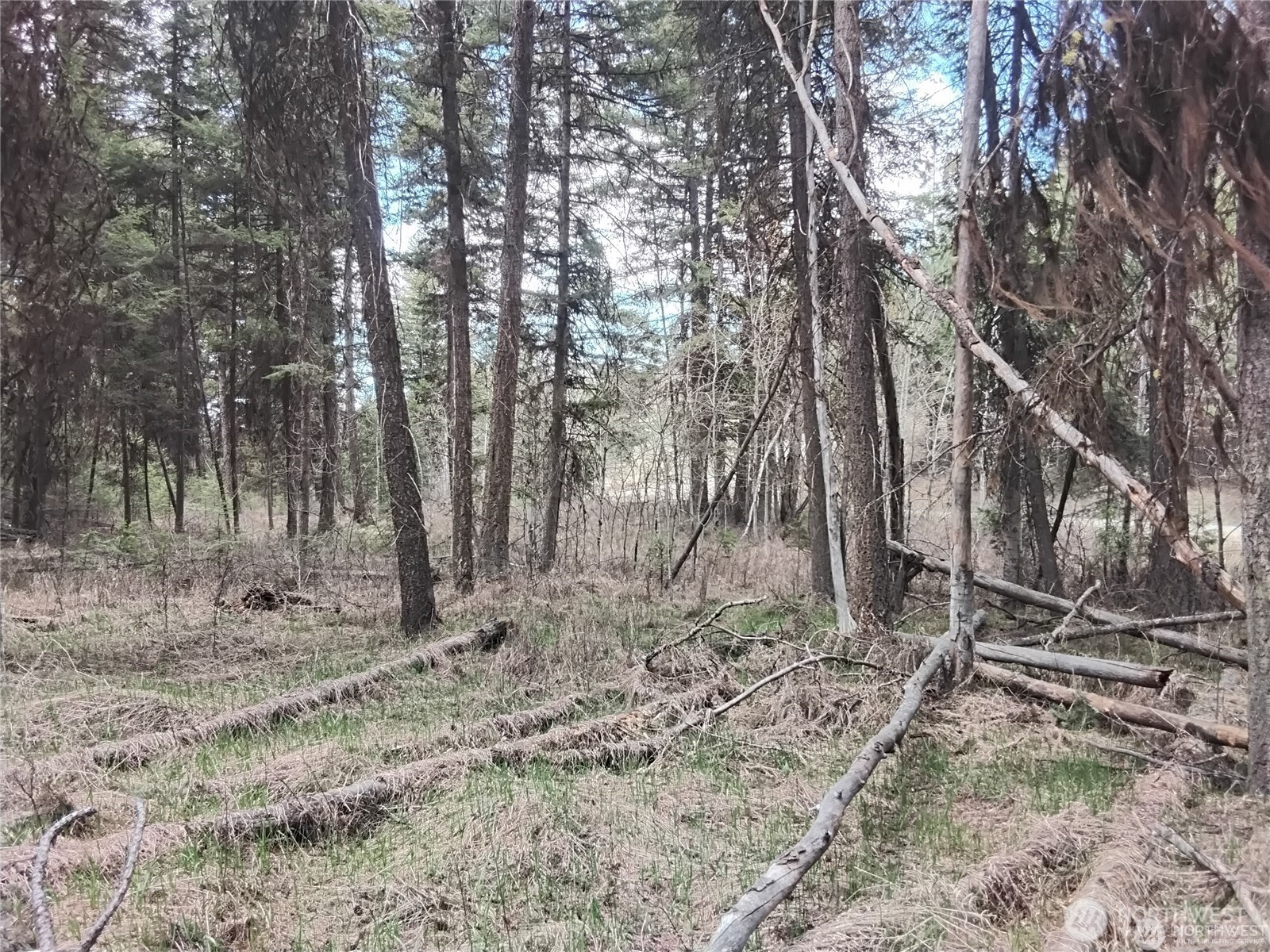 44 Trapline Loop Road , Oroville, WA 98844