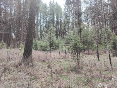 44 Trapline Loop Road , Oroville, WA 98844 - Photo 7