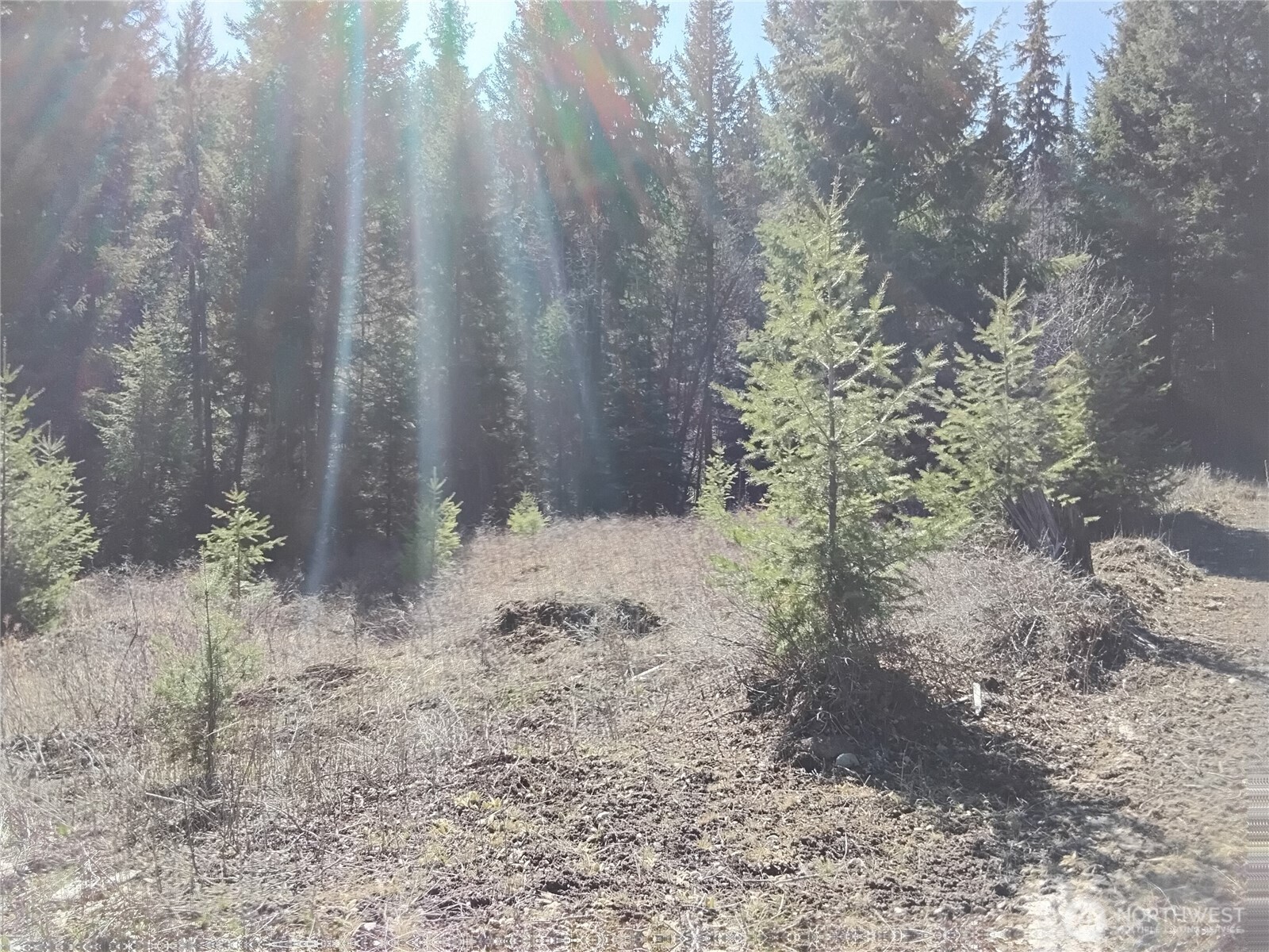44 Trapline Loop Road , Oroville, WA 98844