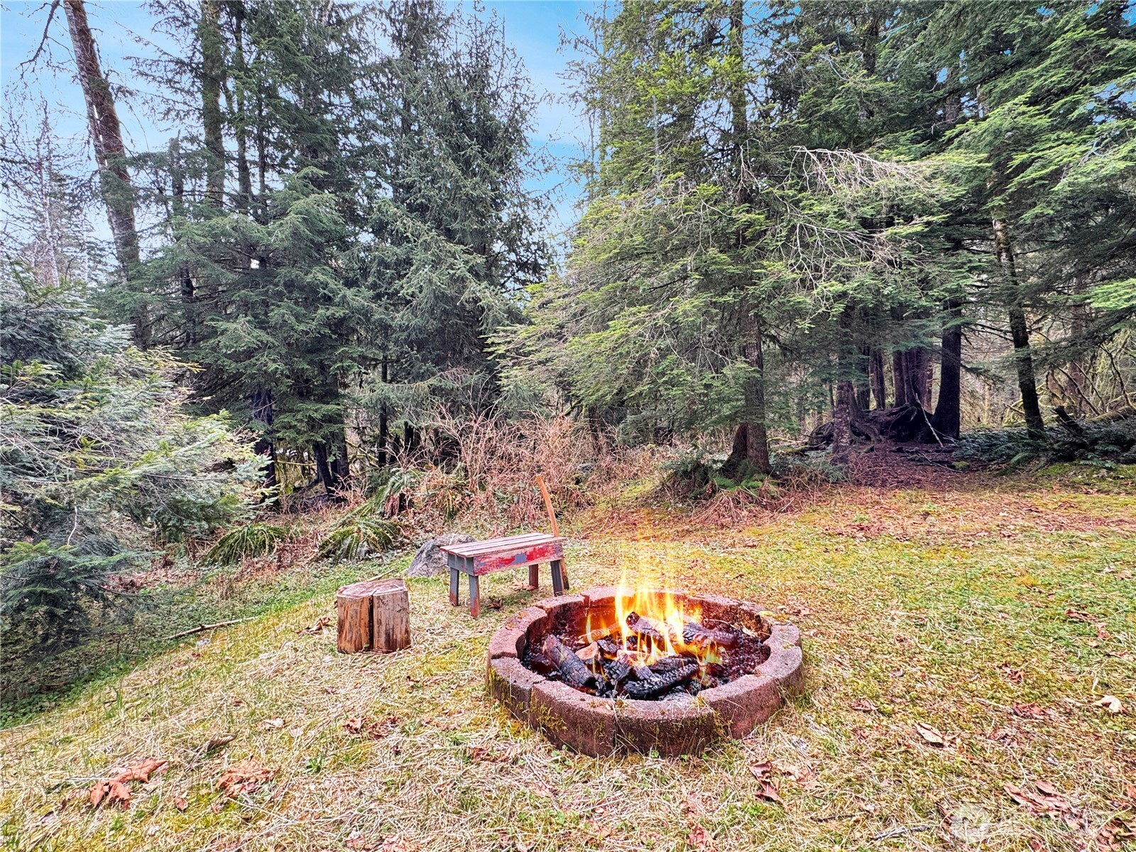 19 7 Big Tree Drive , Deming, WA 98244