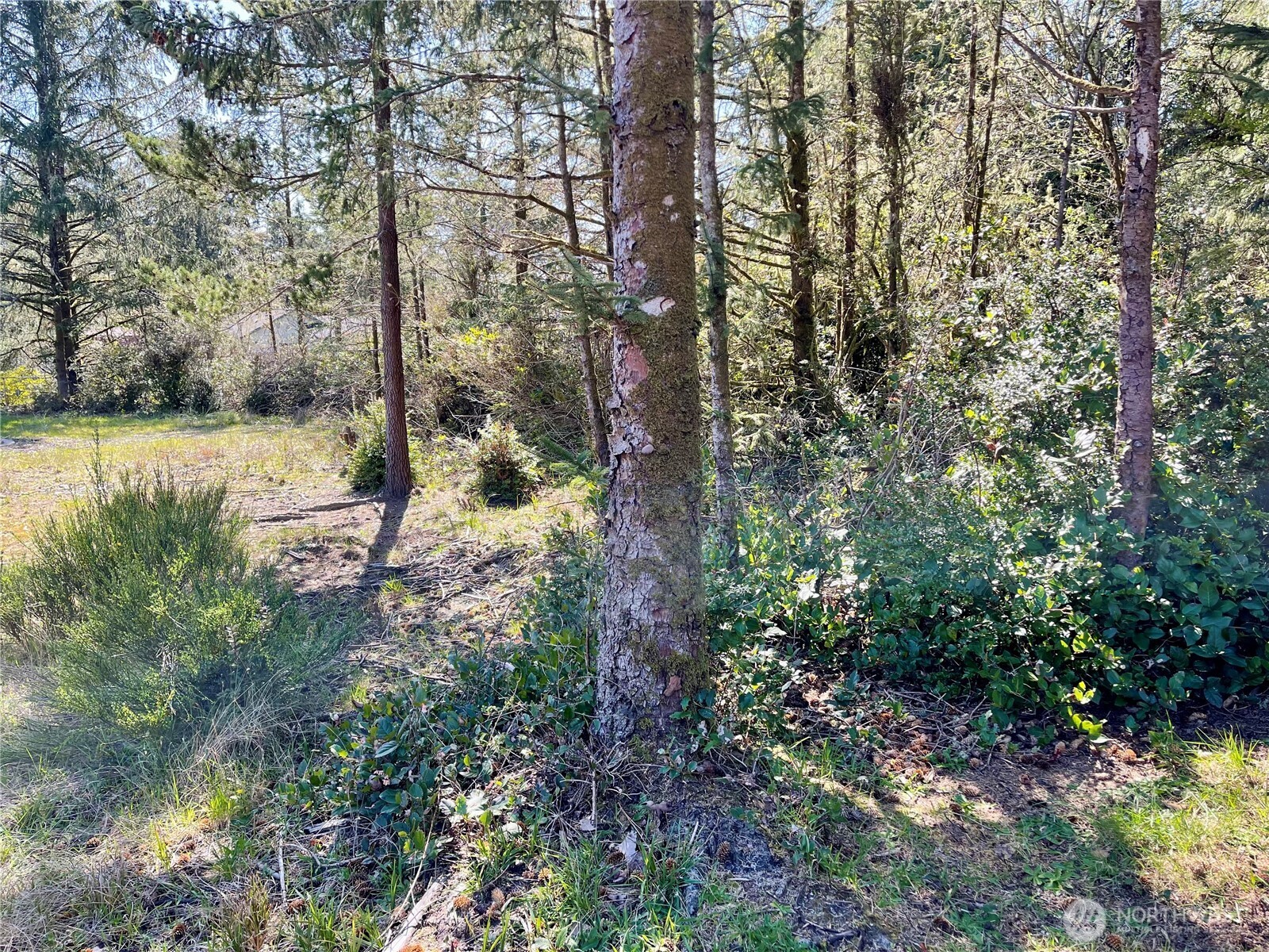 583 Meadow Avenue NE, Ocean Shores, WA 98569