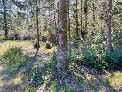 583 Meadow Avenue NE, Ocean Shores, WA 98569 - Photo 9