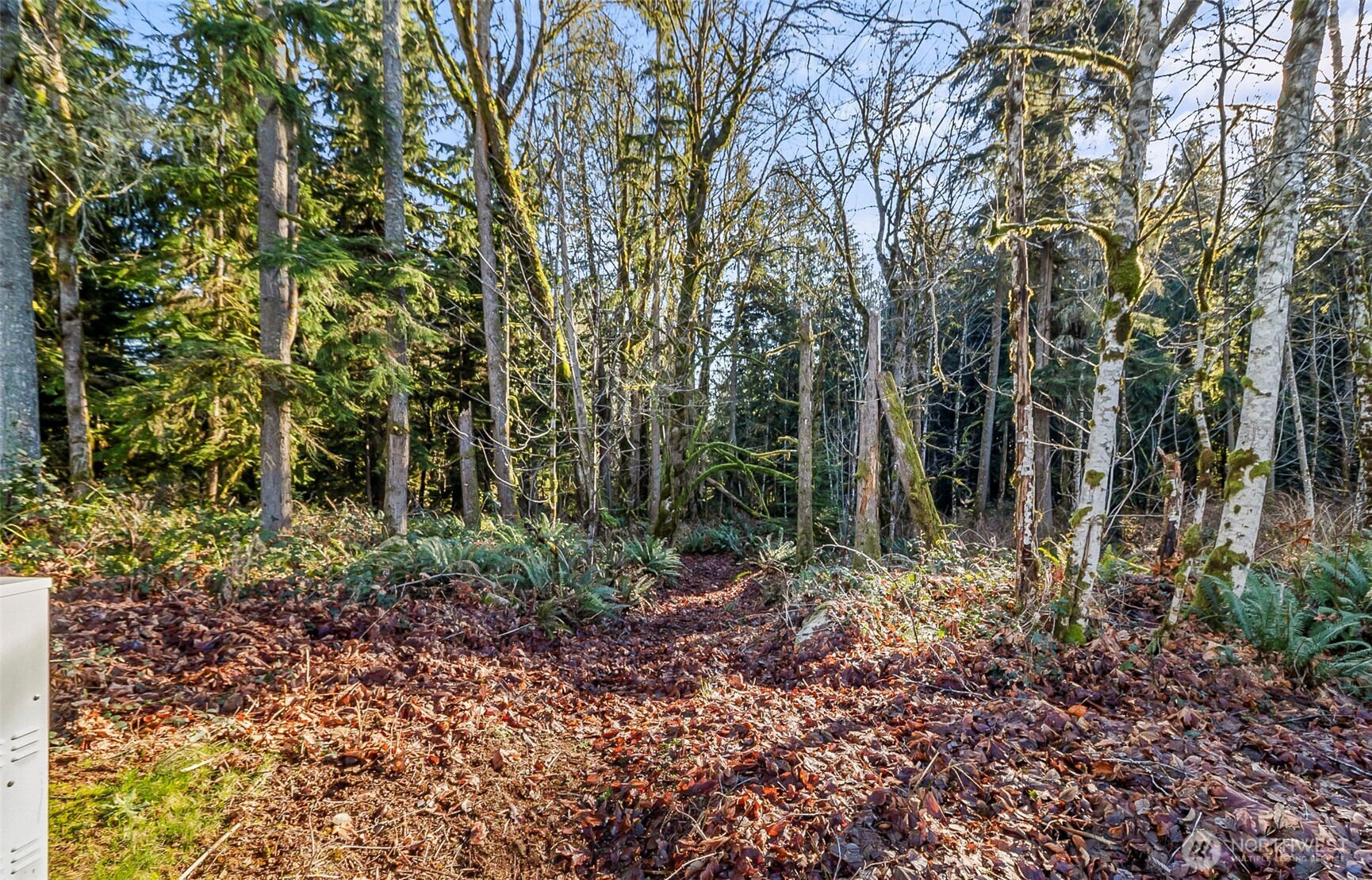 0 213th Avenue SE, Snohomish, WA 98290