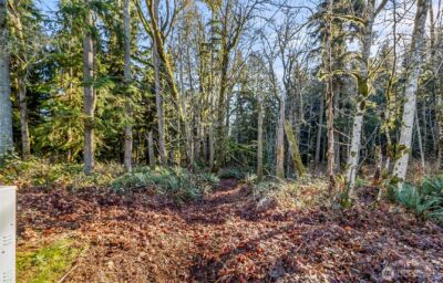 0 213th Avenue SE, Snohomish, WA 98290 - Photo 9