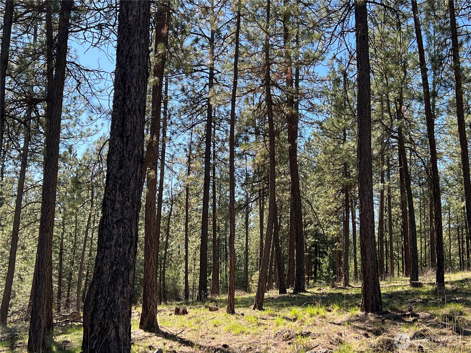 1069 B Kitt Narcisse Road , Colville, WA 99114