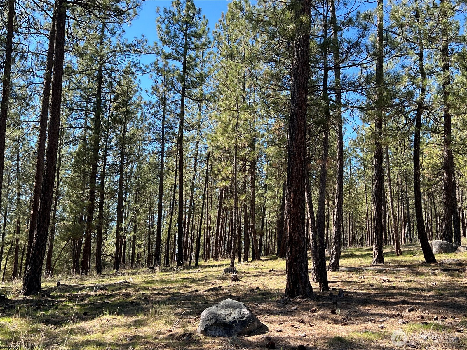 1069 B Kitt Narcisse Road , Colville, WA 99114