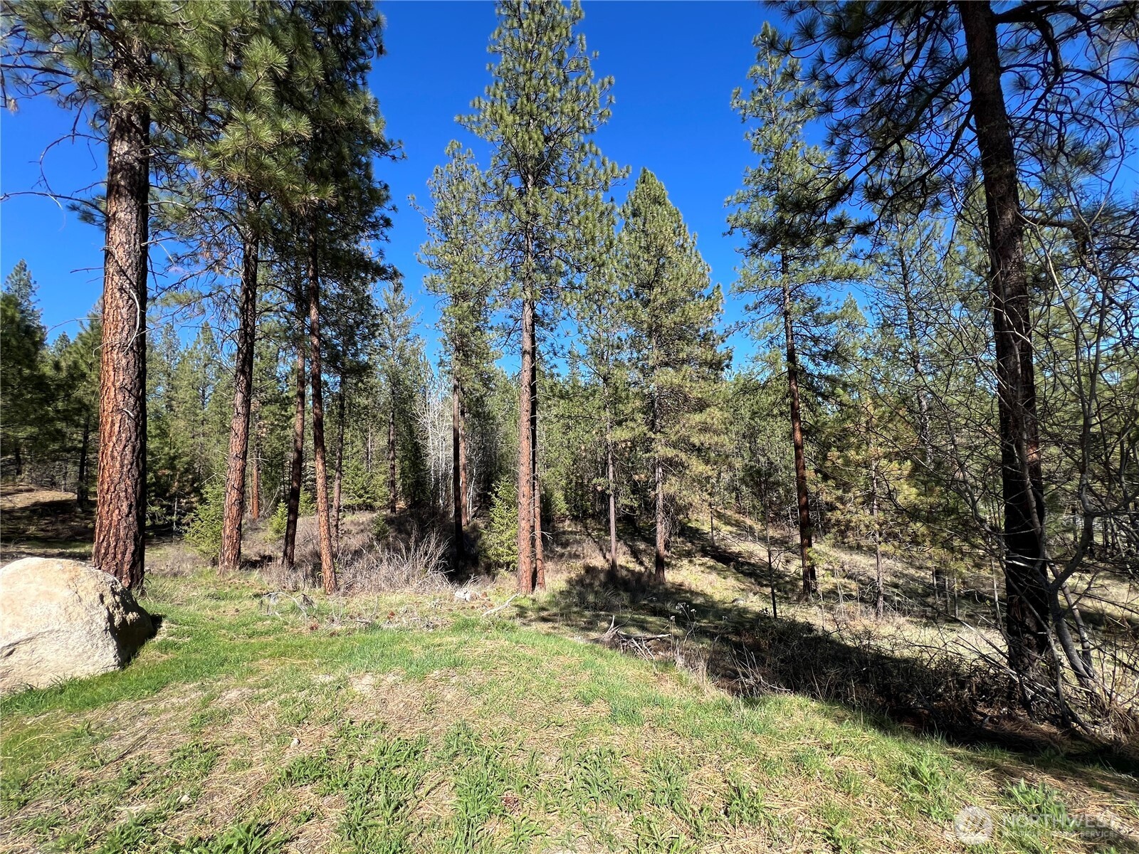 1069 B Kitt Narcisse Road , Colville, WA 99114