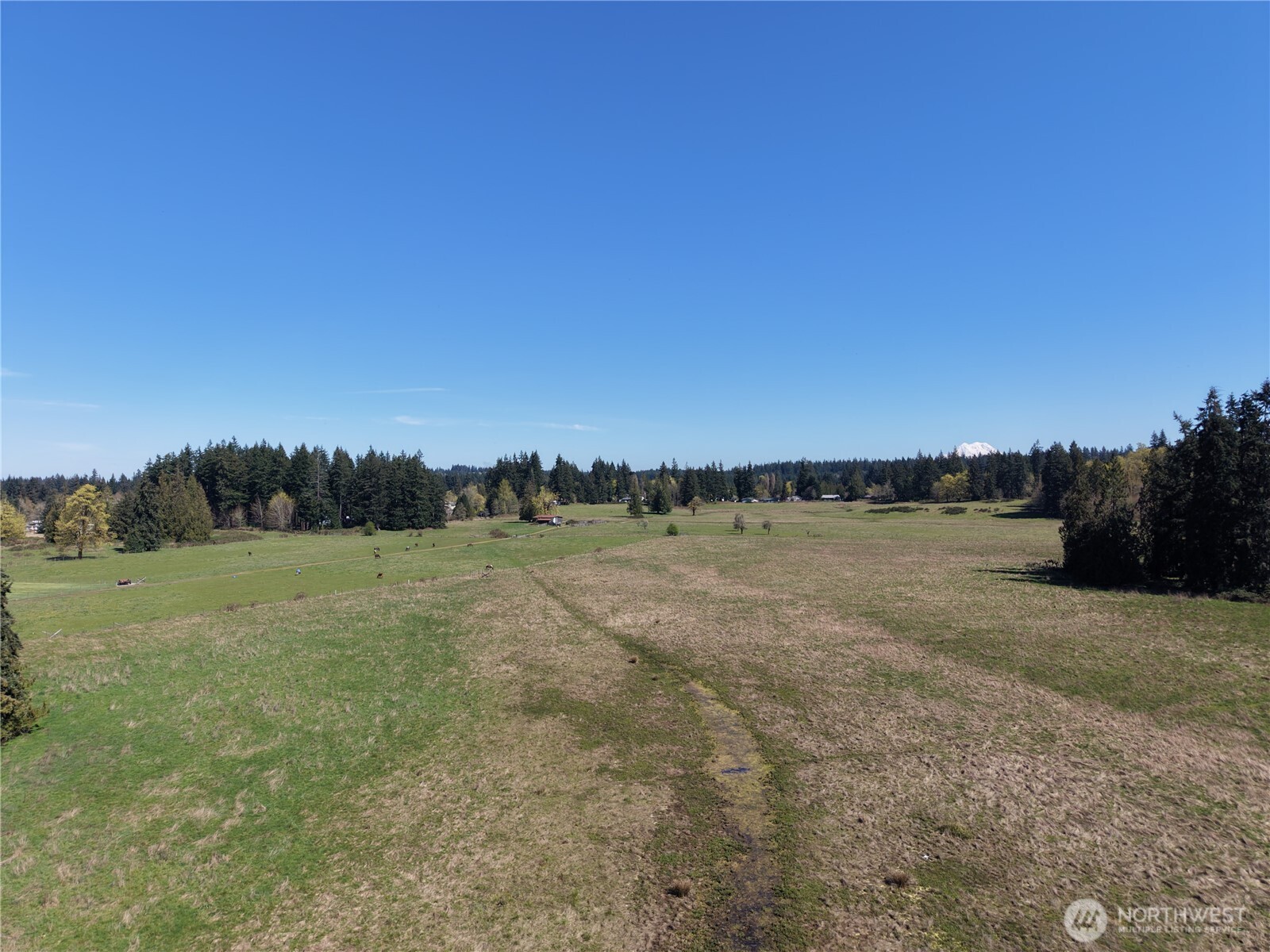 11938 Case Extension Road SW, Olympia, WA 98512