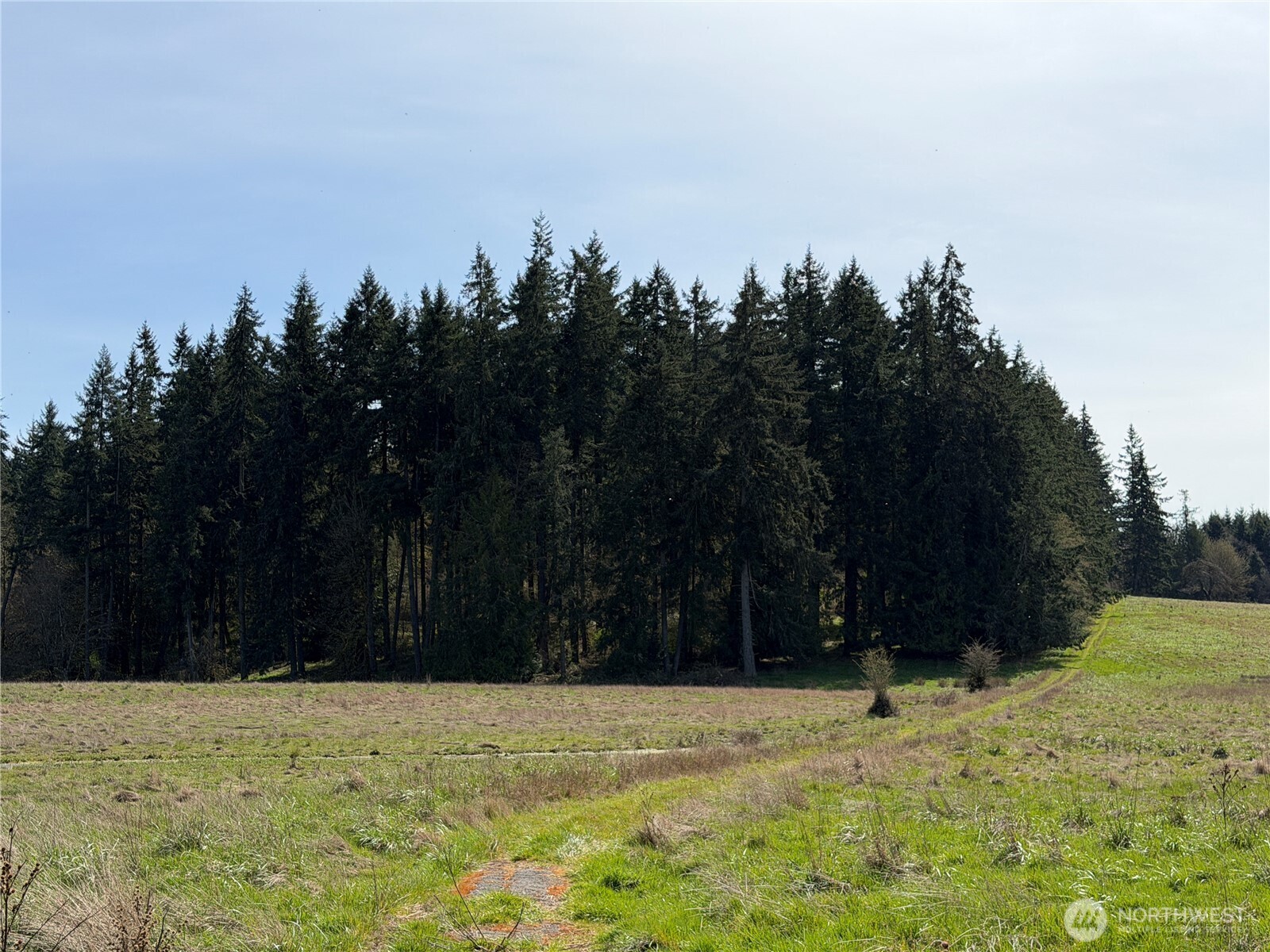 11938 Case Extension Road SW, Olympia, WA 98512