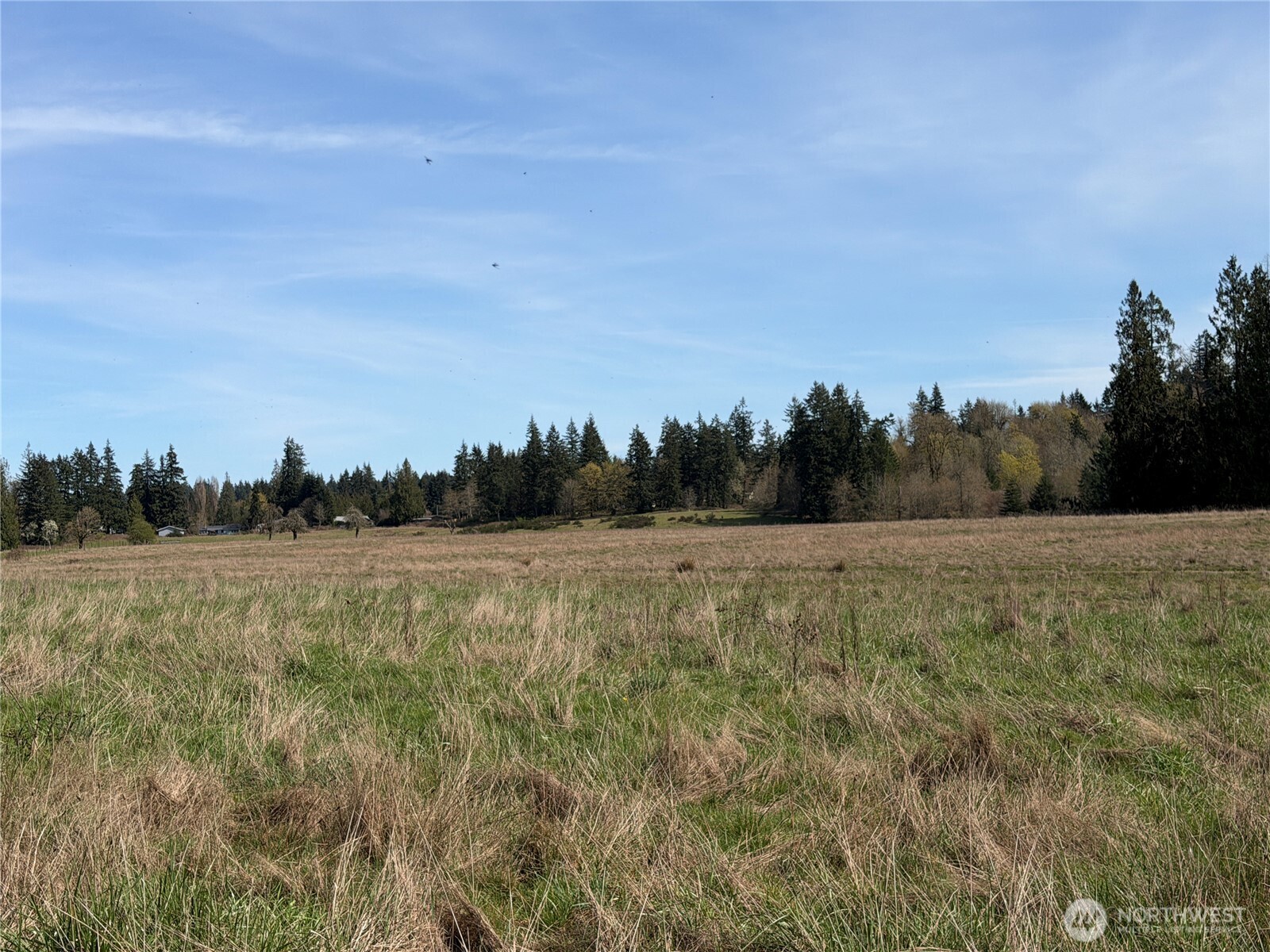 11938 Case Extension Road SW, Olympia, WA 98512