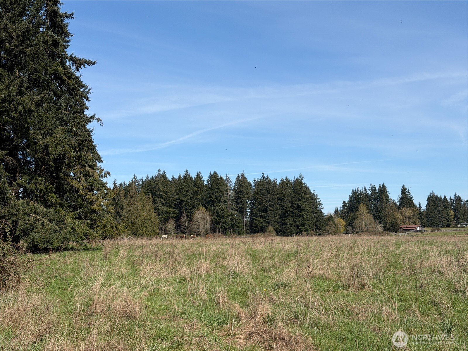 11938 Case Extension Road SW, Olympia, WA 98512