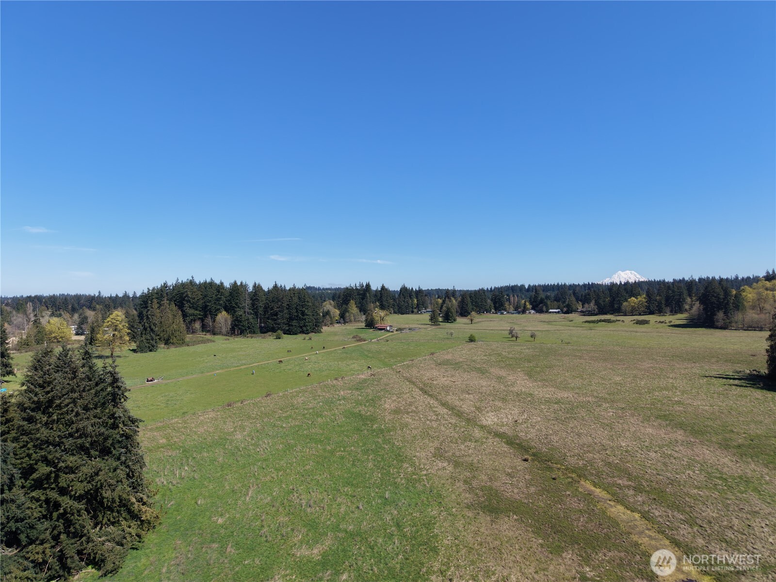 11938 Case Extension Road SW, Olympia, WA 98512