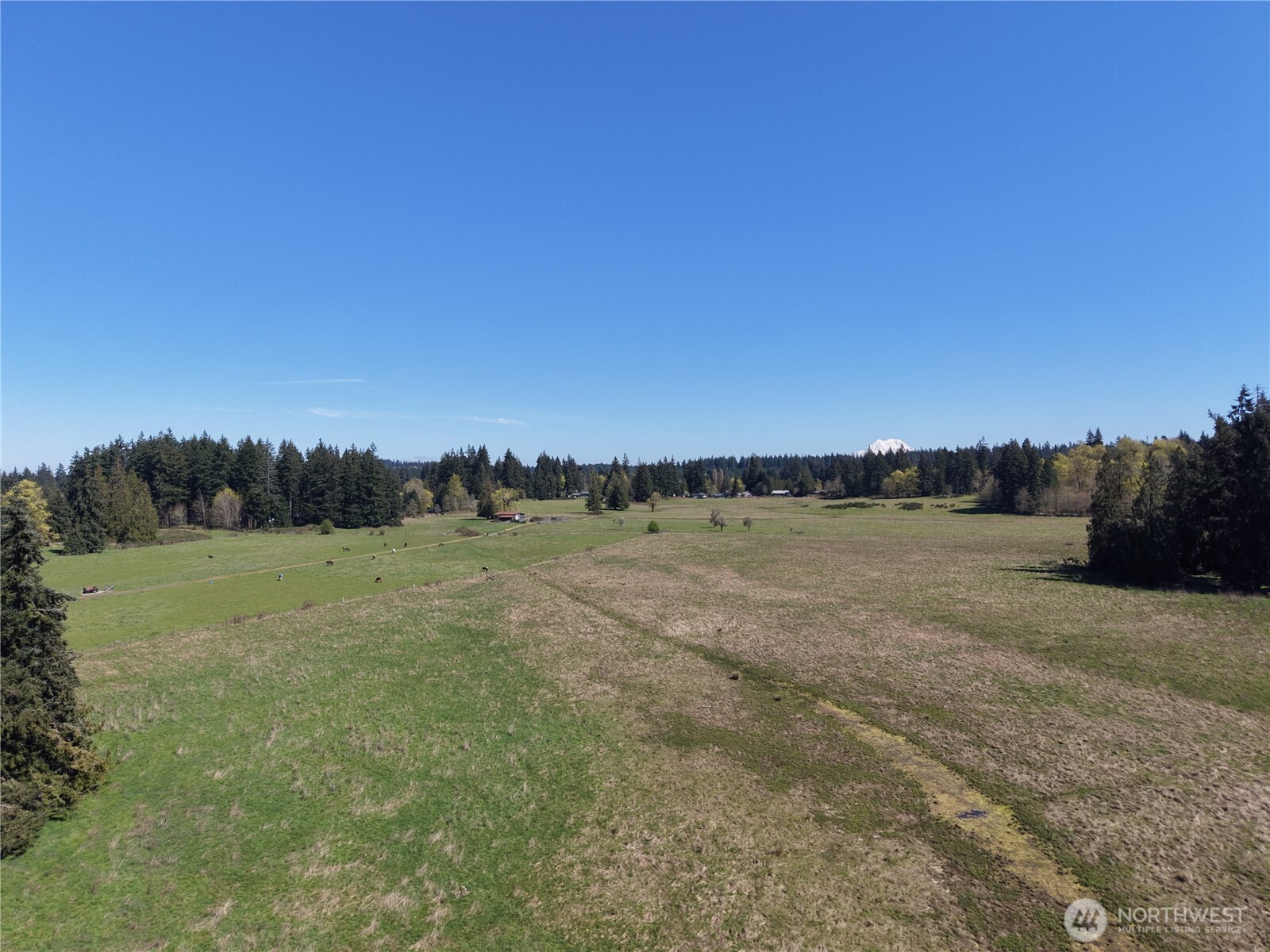 11938 Case Extension Road SW, Olympia, WA 98512