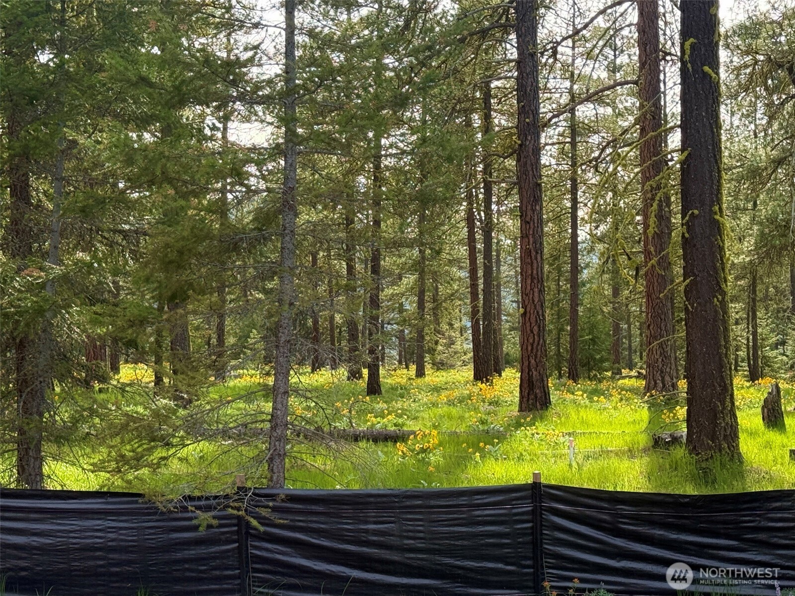 141 Plateau Loop , Cle Elum, WA 98922