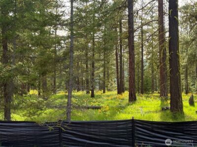 141 Plateau Loop , Cle Elum, WA 98922 - Photo 5