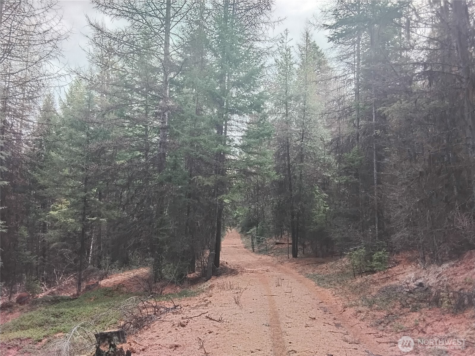 0 Cougar Loop Drive , Tonasket, WA 98855
