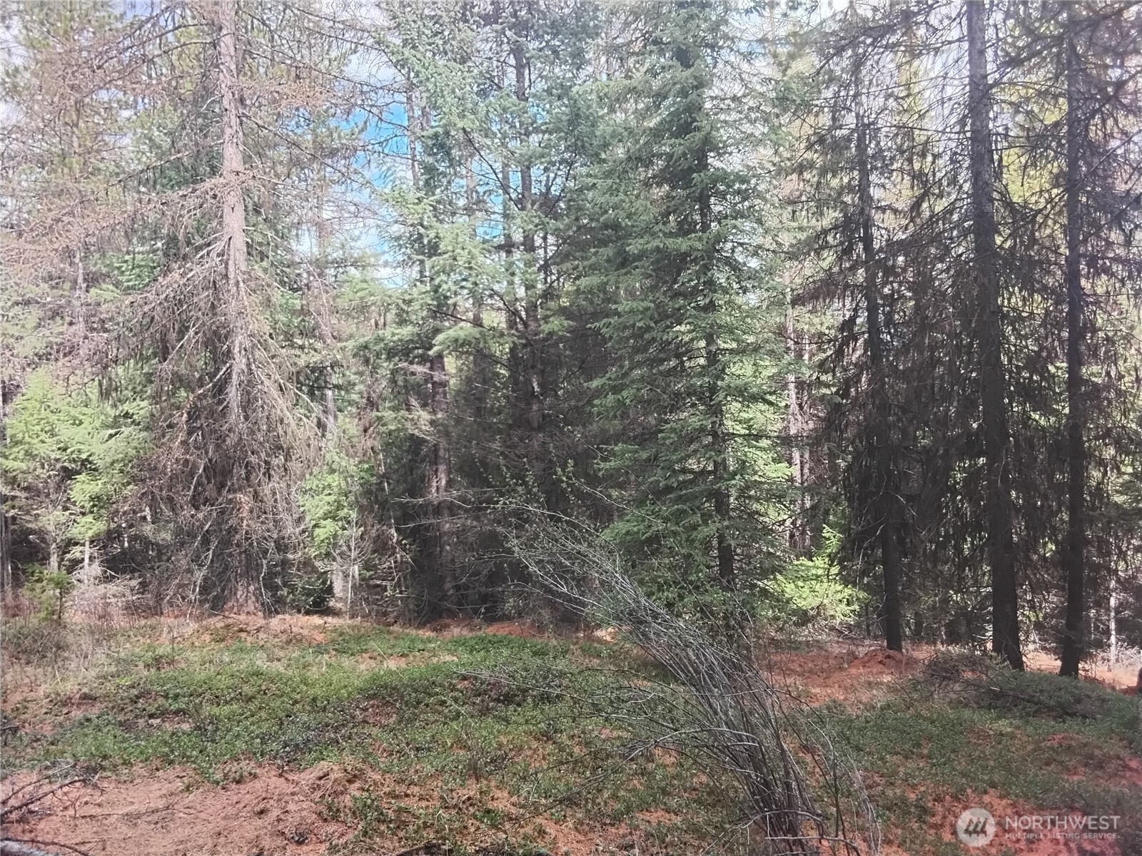 0 Cougar Loop Drive , Tonasket, WA 98855