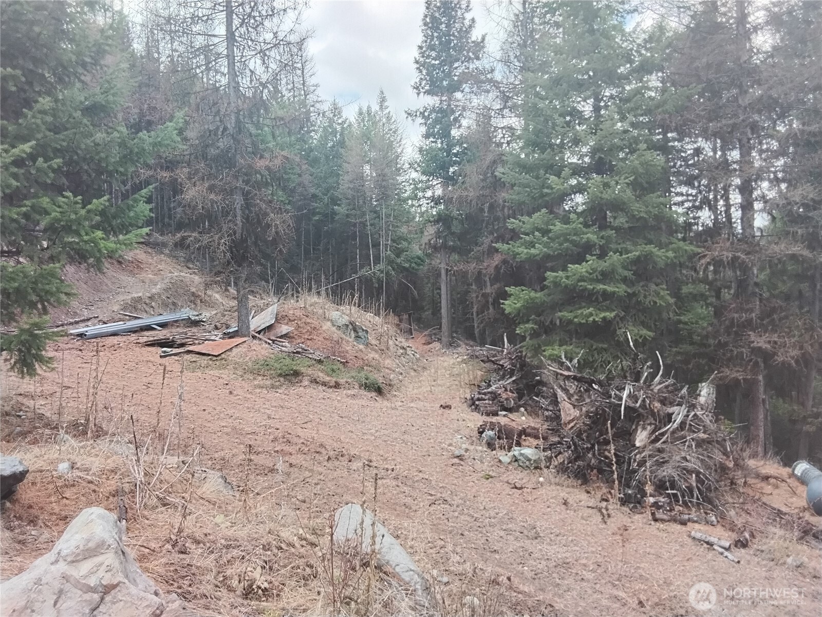 0 Cougar Loop Drive , Tonasket, WA 98855