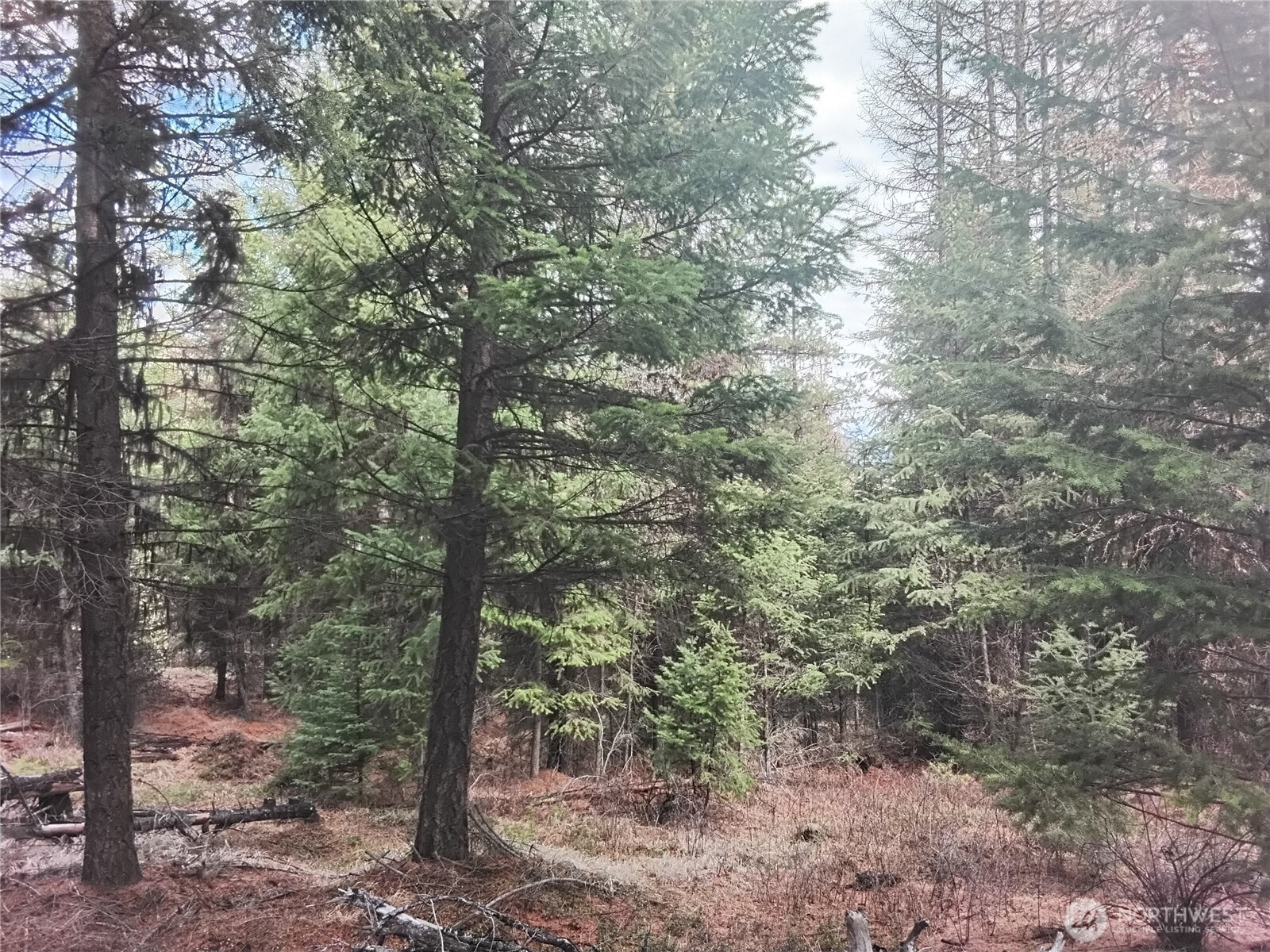 0 Cougar Loop Drive , Tonasket, WA 98855