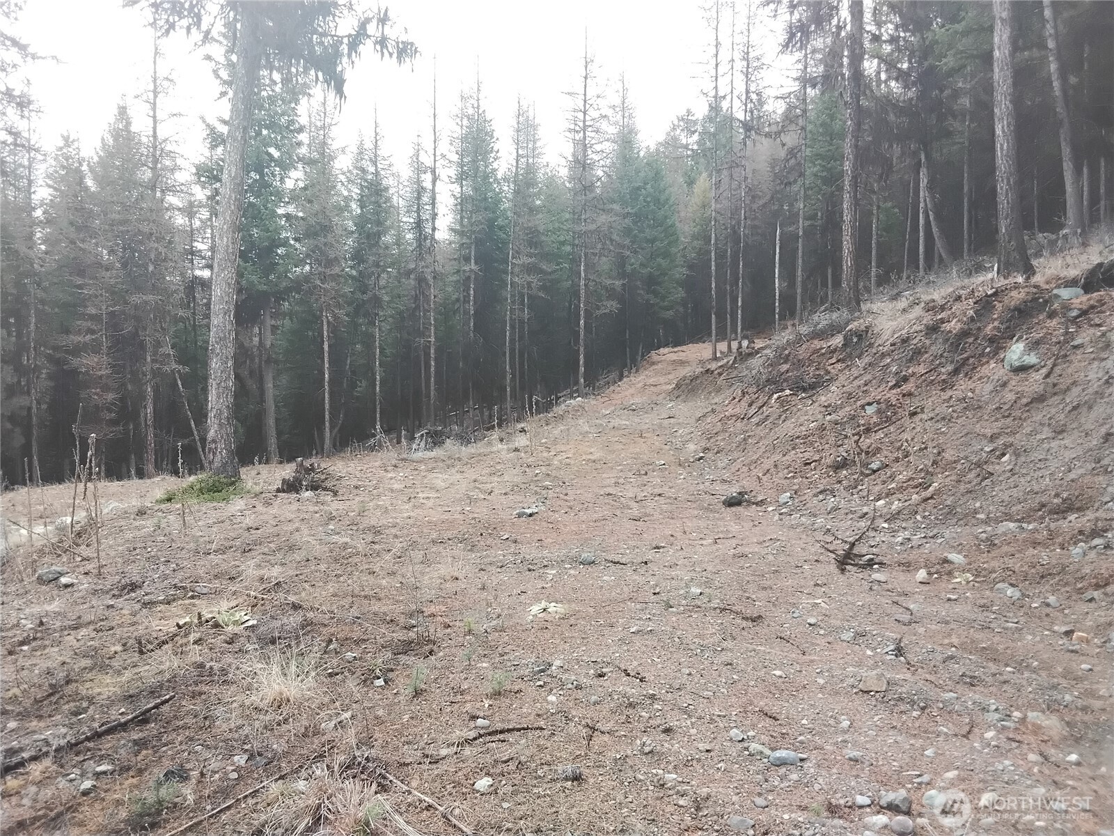 0 Cougar Loop Drive , Tonasket, WA 98855