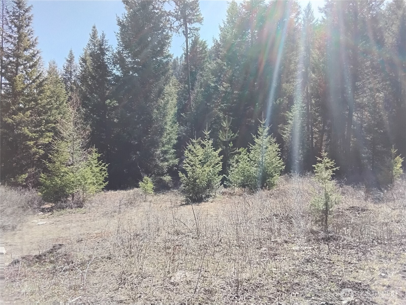 0 Cougar Loop Drive , Tonasket, WA 98855