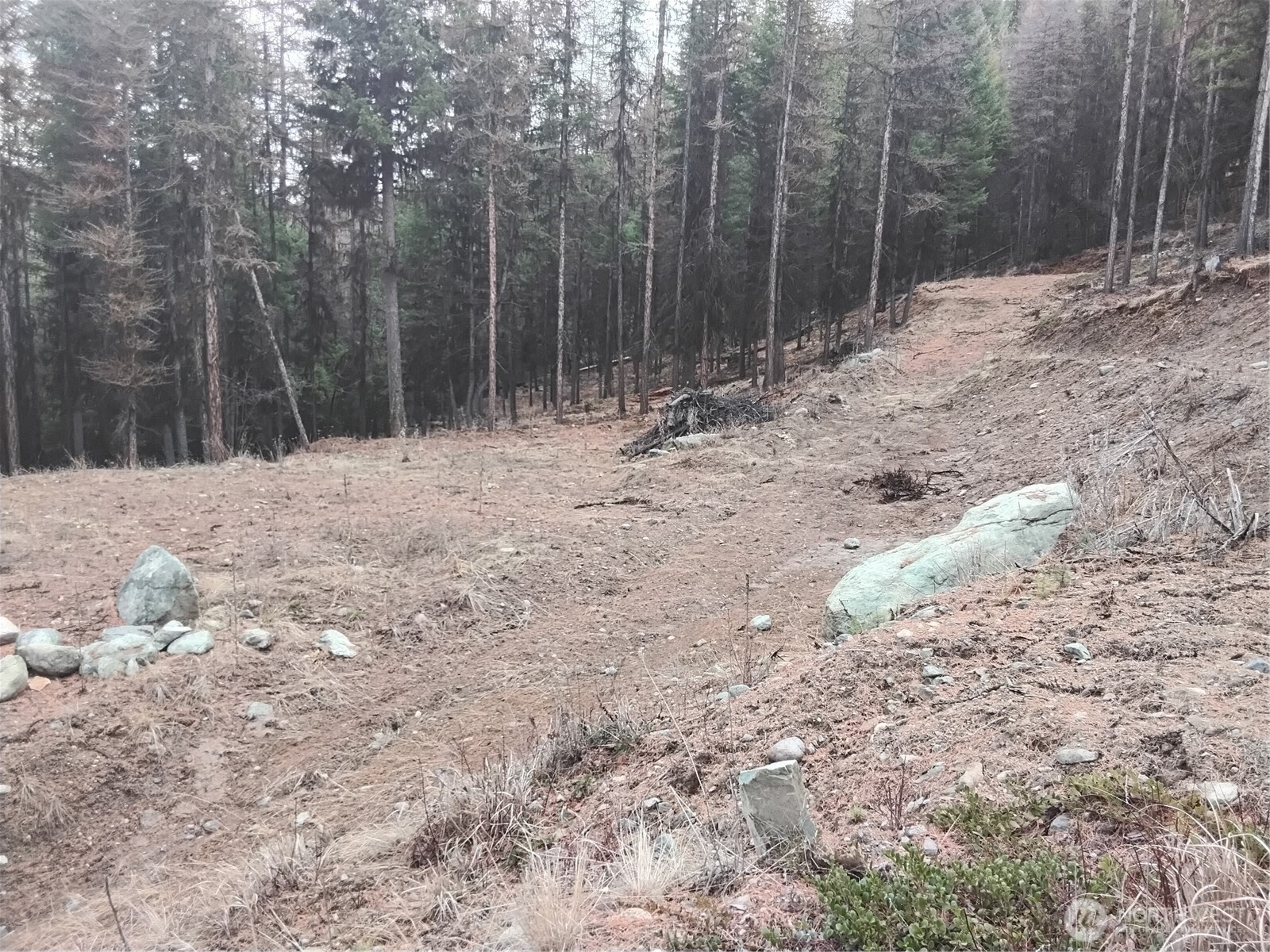 0 Cougar Loop Drive , Tonasket, WA 98855