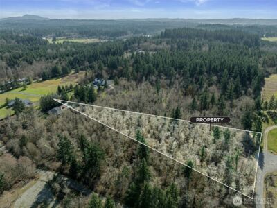 3244 137th Lane SW, Tenino, WA 98589 - Photo 6