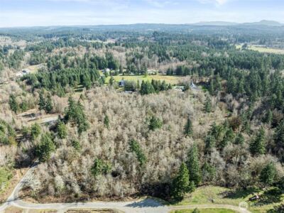3244 137th Lane SW, Tenino, WA 98589 - Photo 7