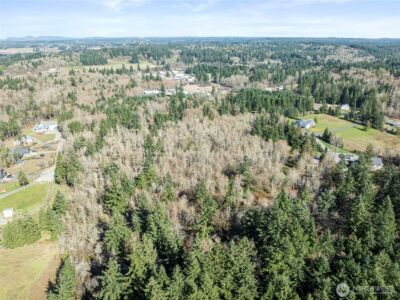 3244 137th Lane SW, Tenino, WA 98589 - Photo 9