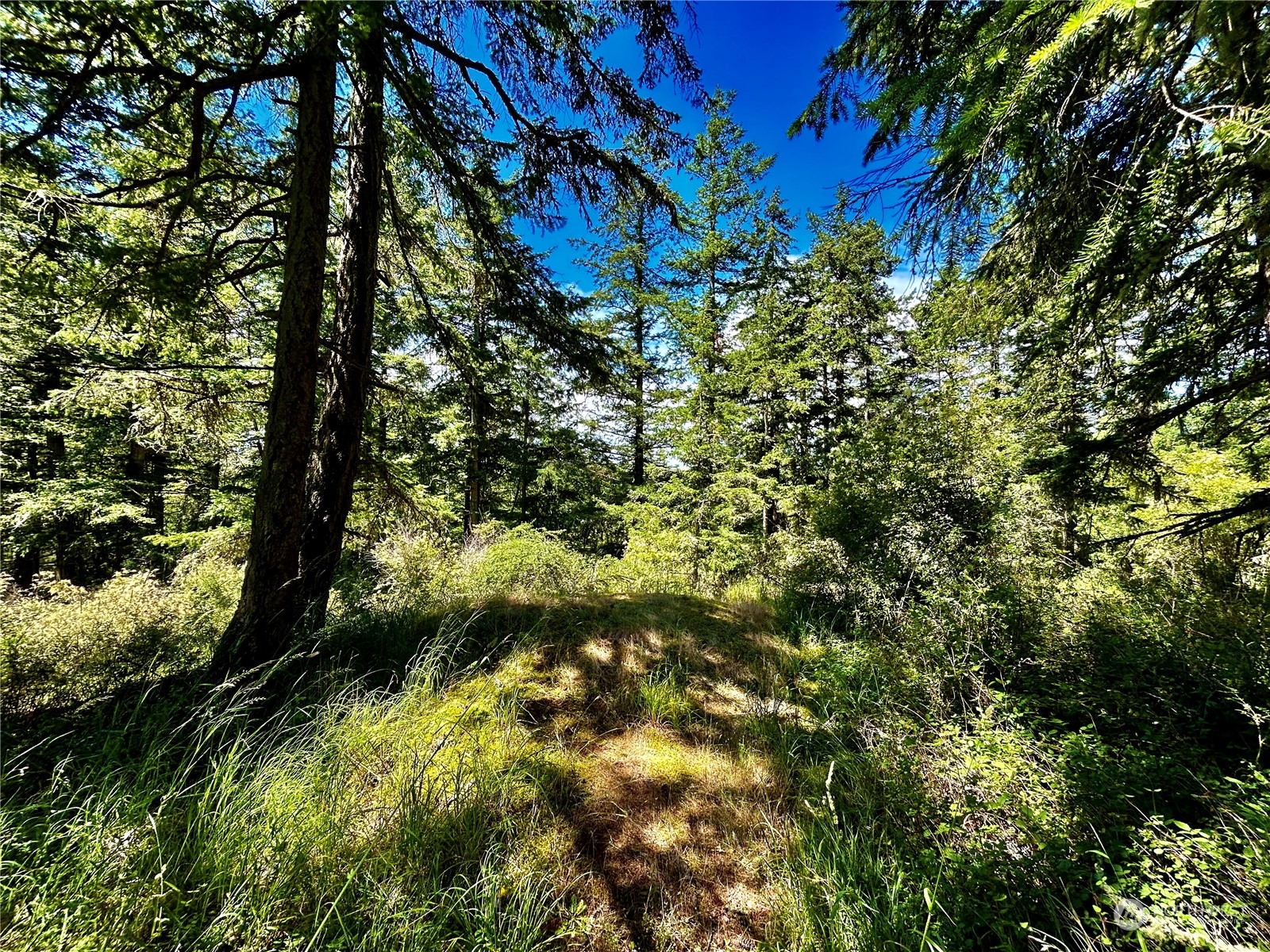 0 Salmonberry Lane , Friday Harbor, WA 98250