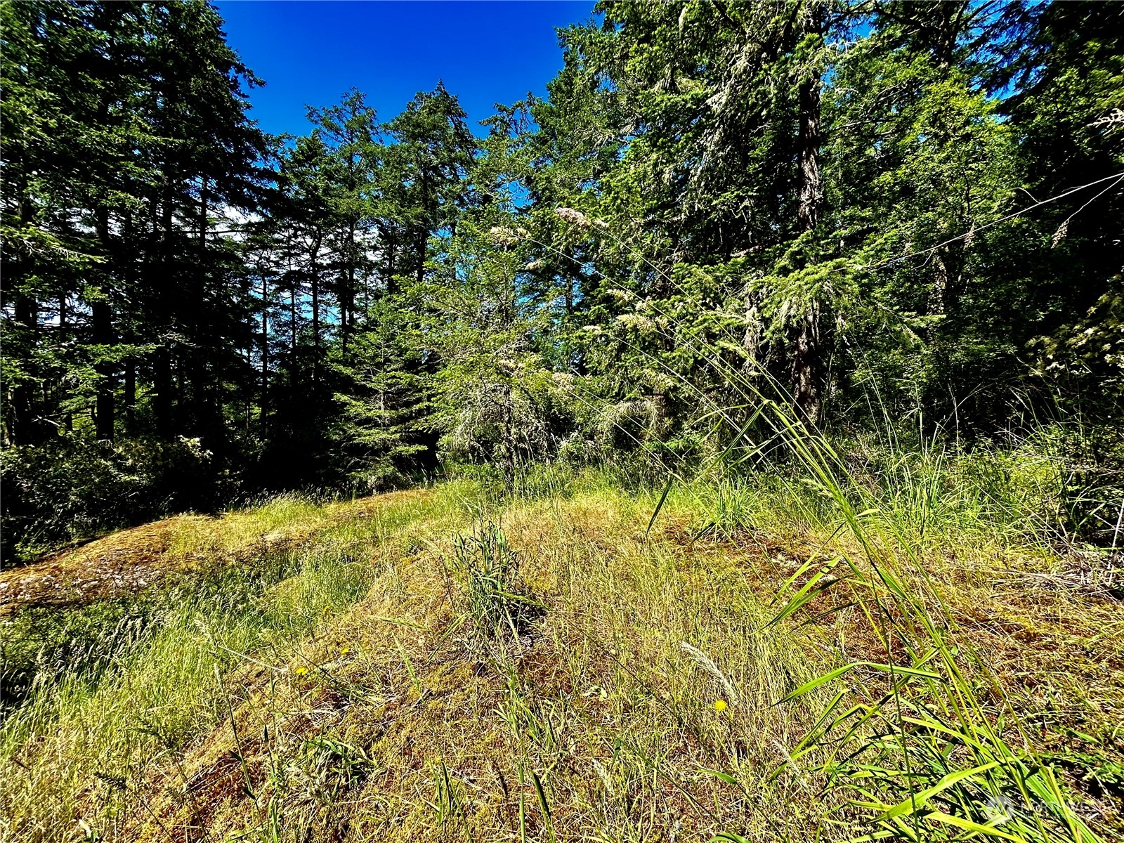 0 Salmonberry Lane , Friday Harbor, WA 98250