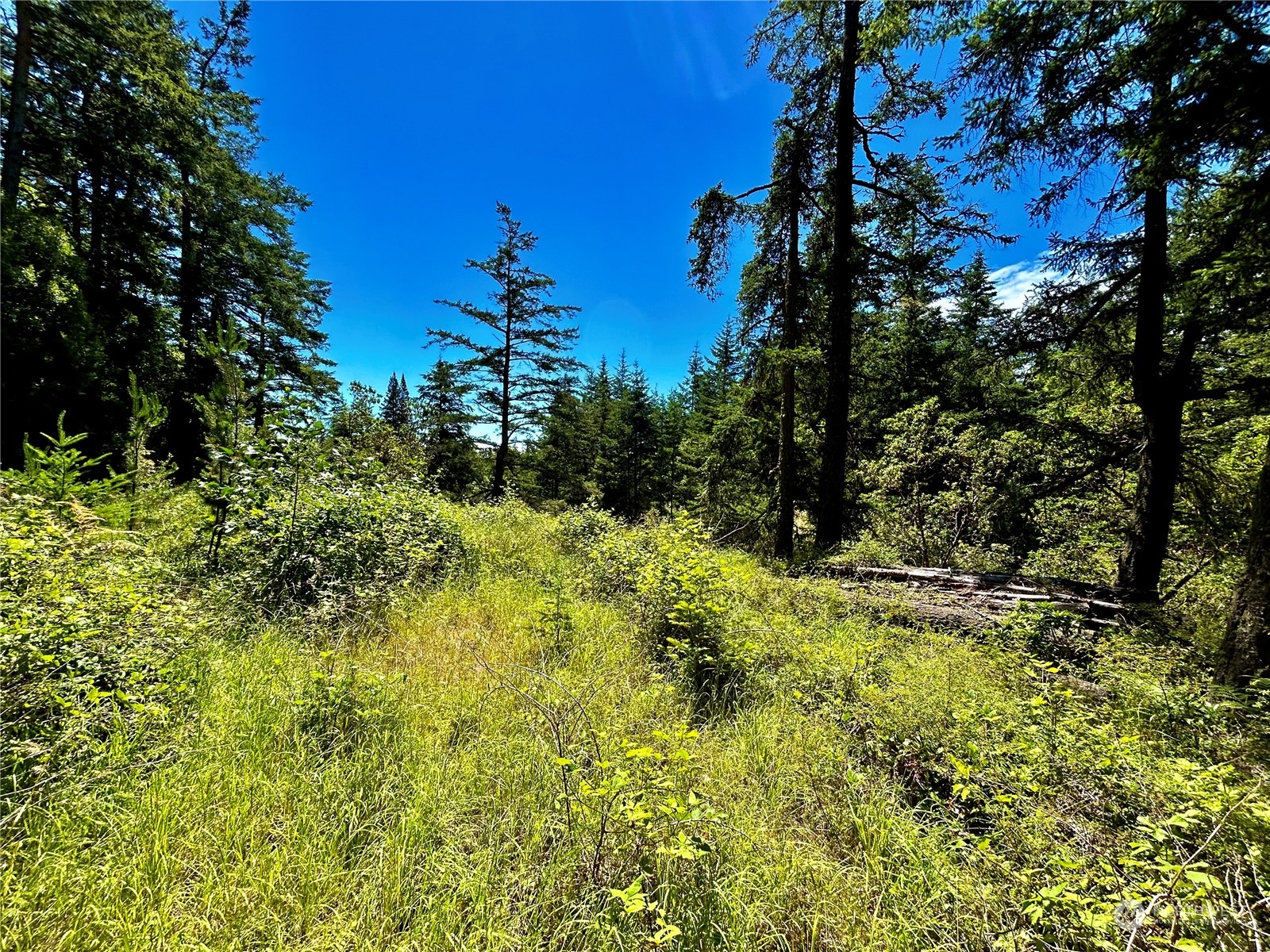 0 Salmonberry Lane , Friday Harbor, WA 98250