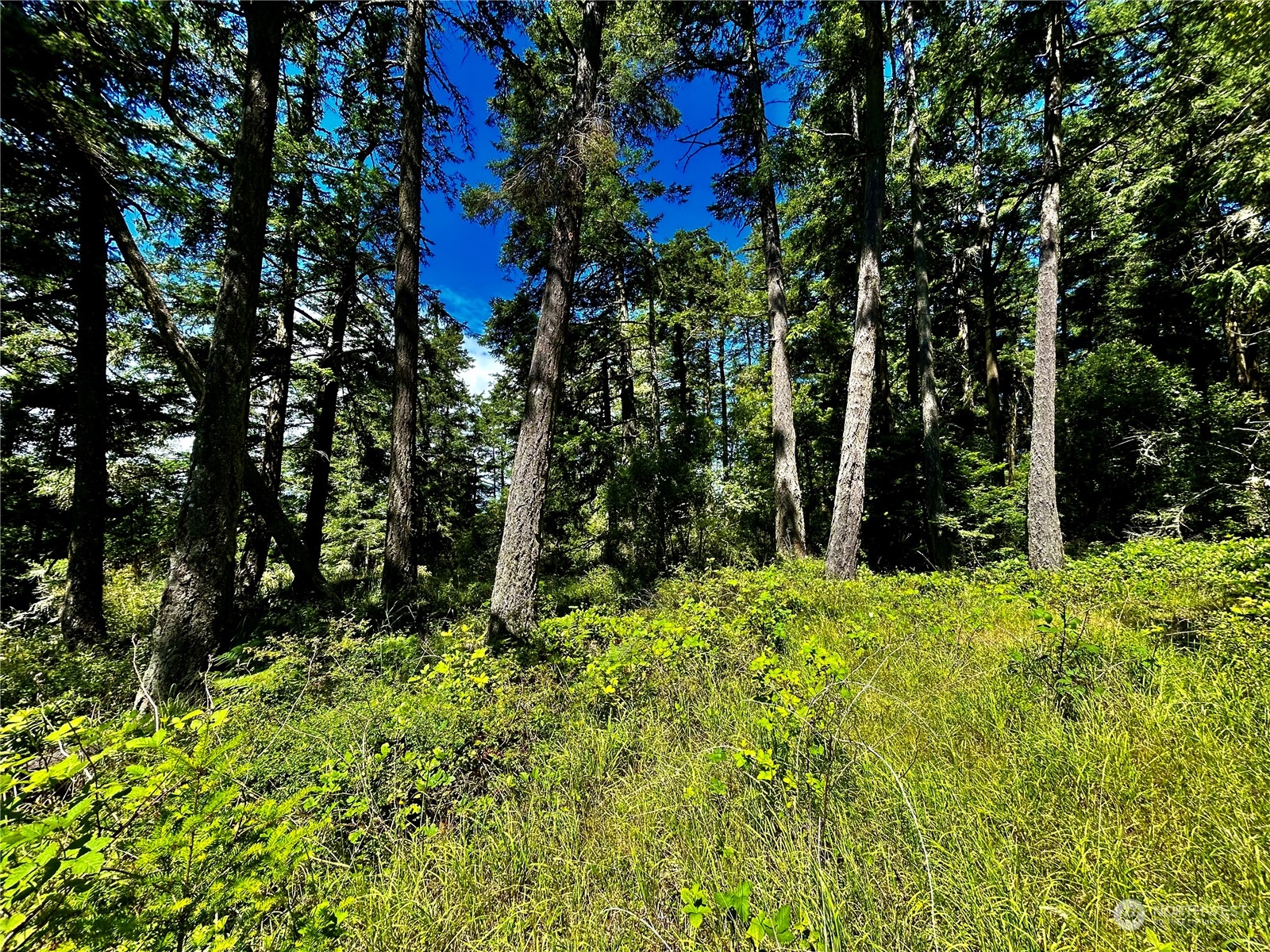 0 Salmonberry Lane , Friday Harbor, WA 98250