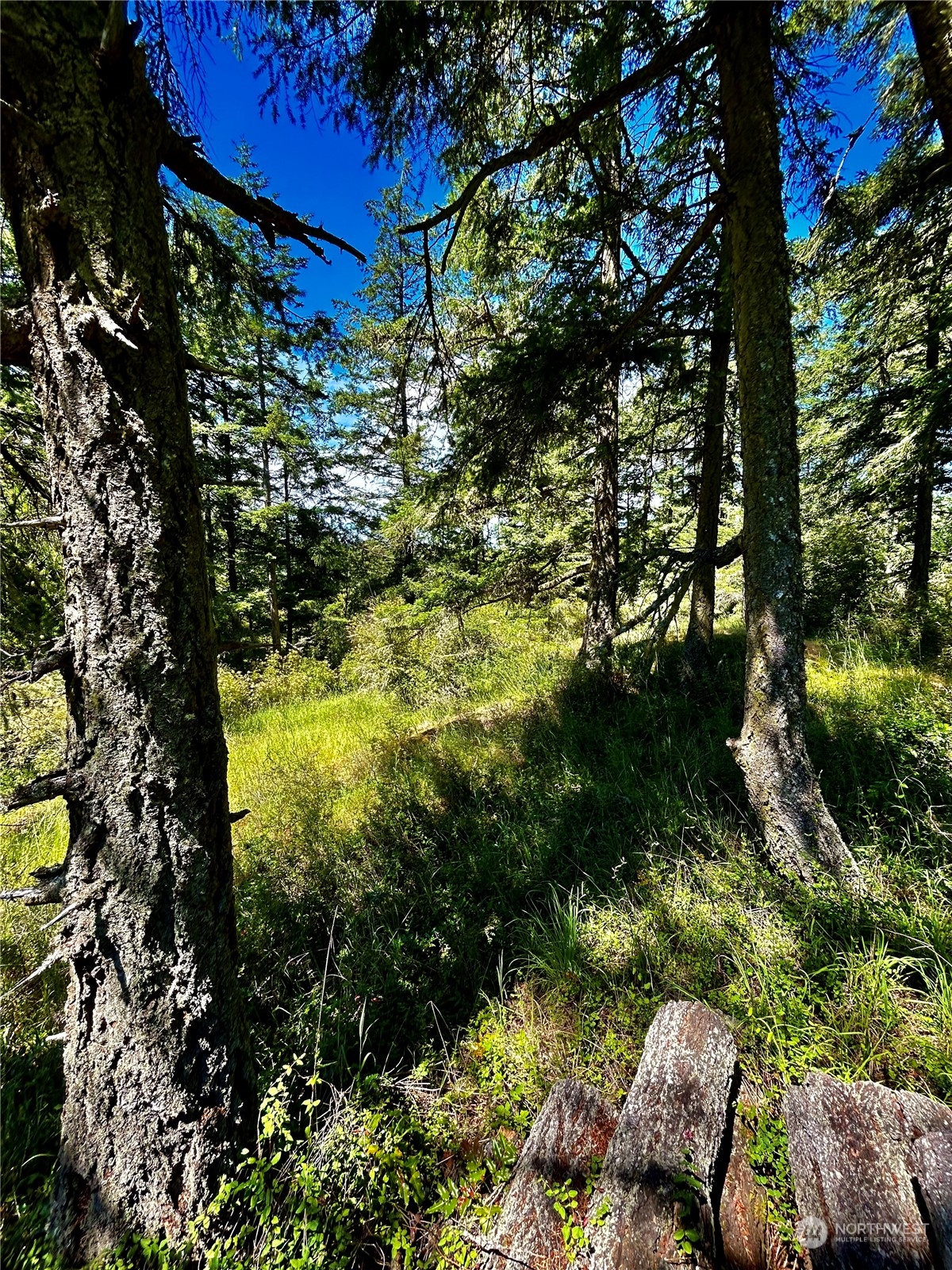 0 Salmonberry Lane , Friday Harbor, WA 98250