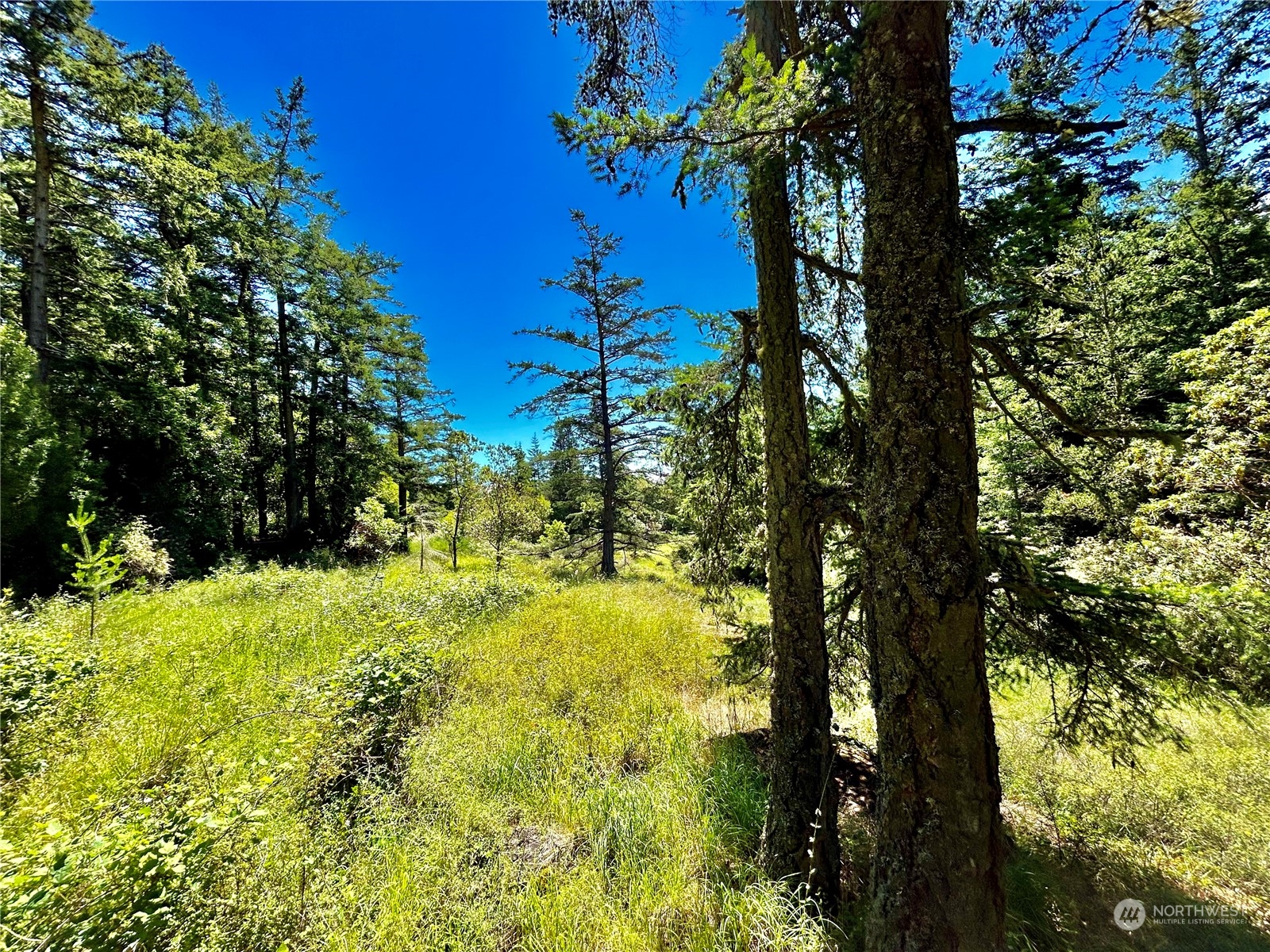 0 Salmonberry Lane , Friday Harbor, WA 98250