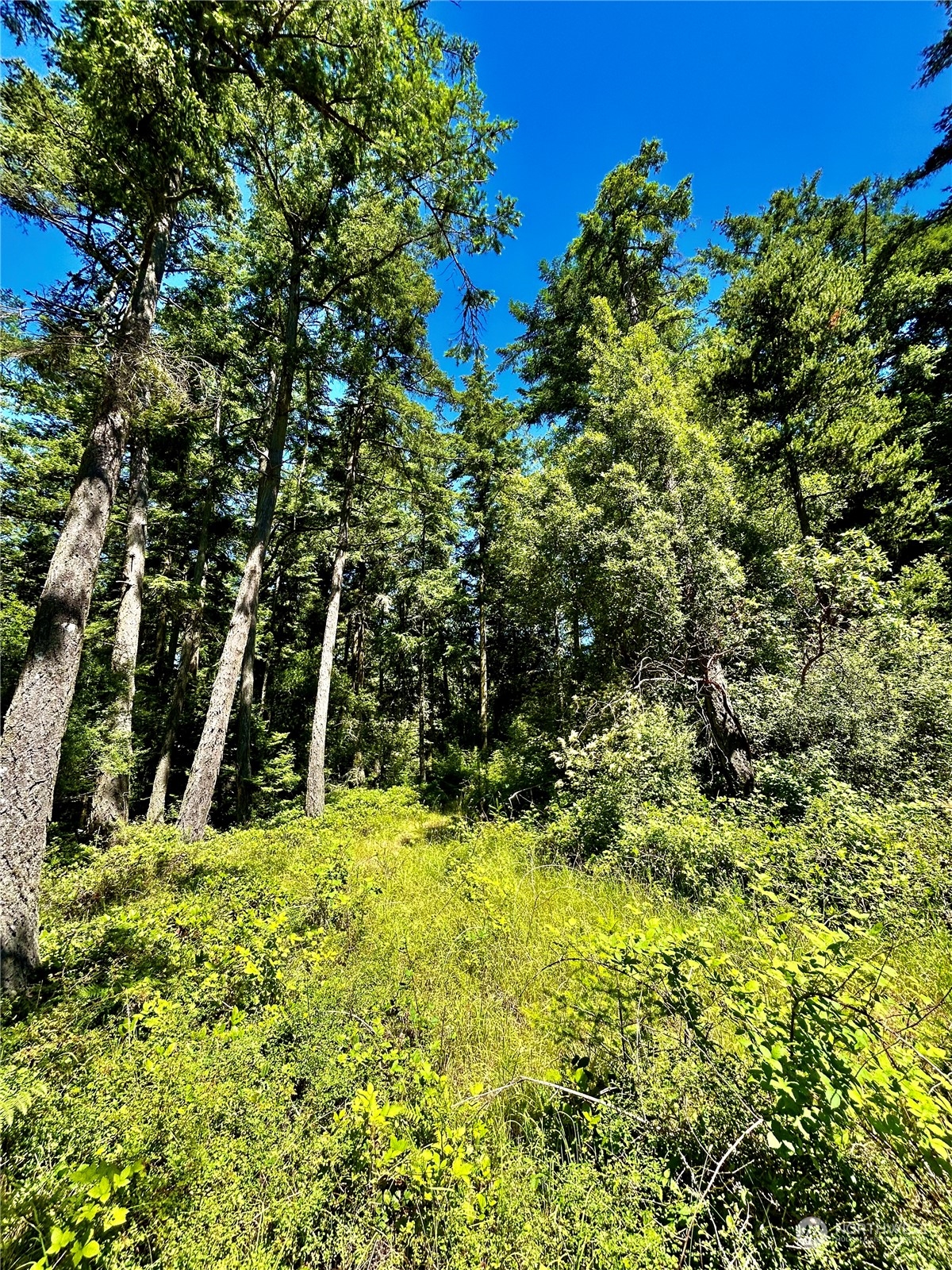 0 Salmonberry Lane , Friday Harbor, WA 98250
